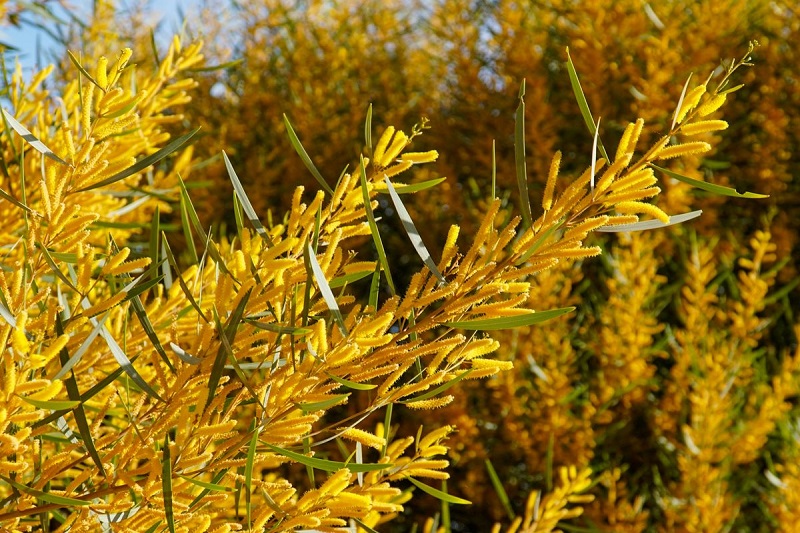 Ảnh slide minh họa 6